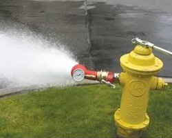 Yellow Fire Hydrant
